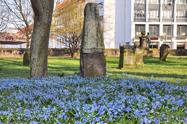 Fruehling2012   030.jpg